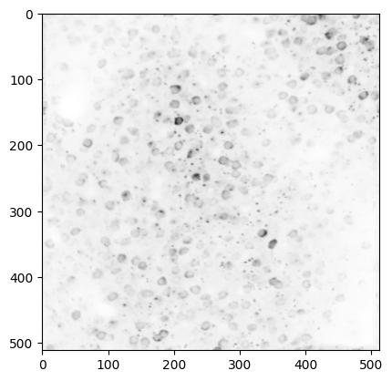 ../../../_images/969b5c250947807b55760868bdd44075a01139cd82403304a4da8adc3bd3ed4f.png