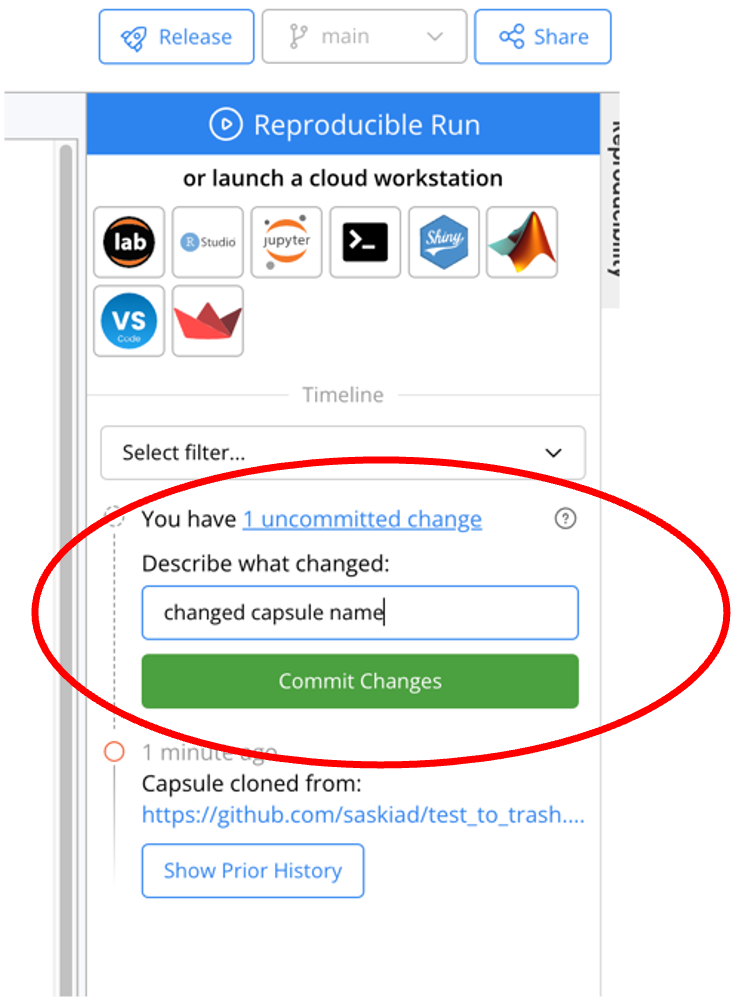 Creating a Code Ocean capsule synced to GitHub repo — SWDB 2024 Data Book