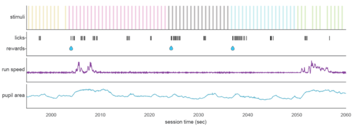 behaviordata