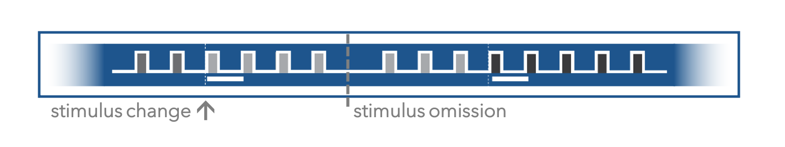 omissions_schematic