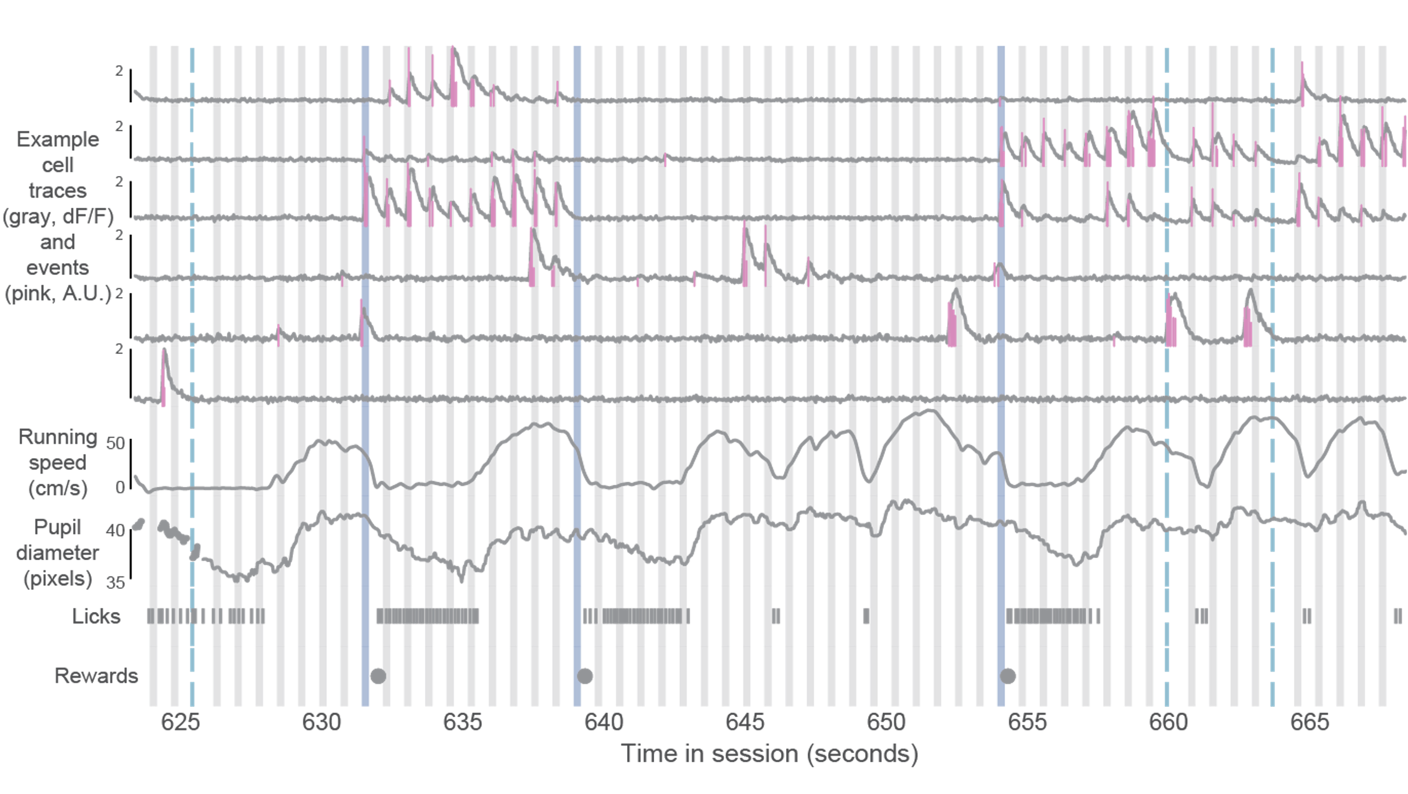 data_streams