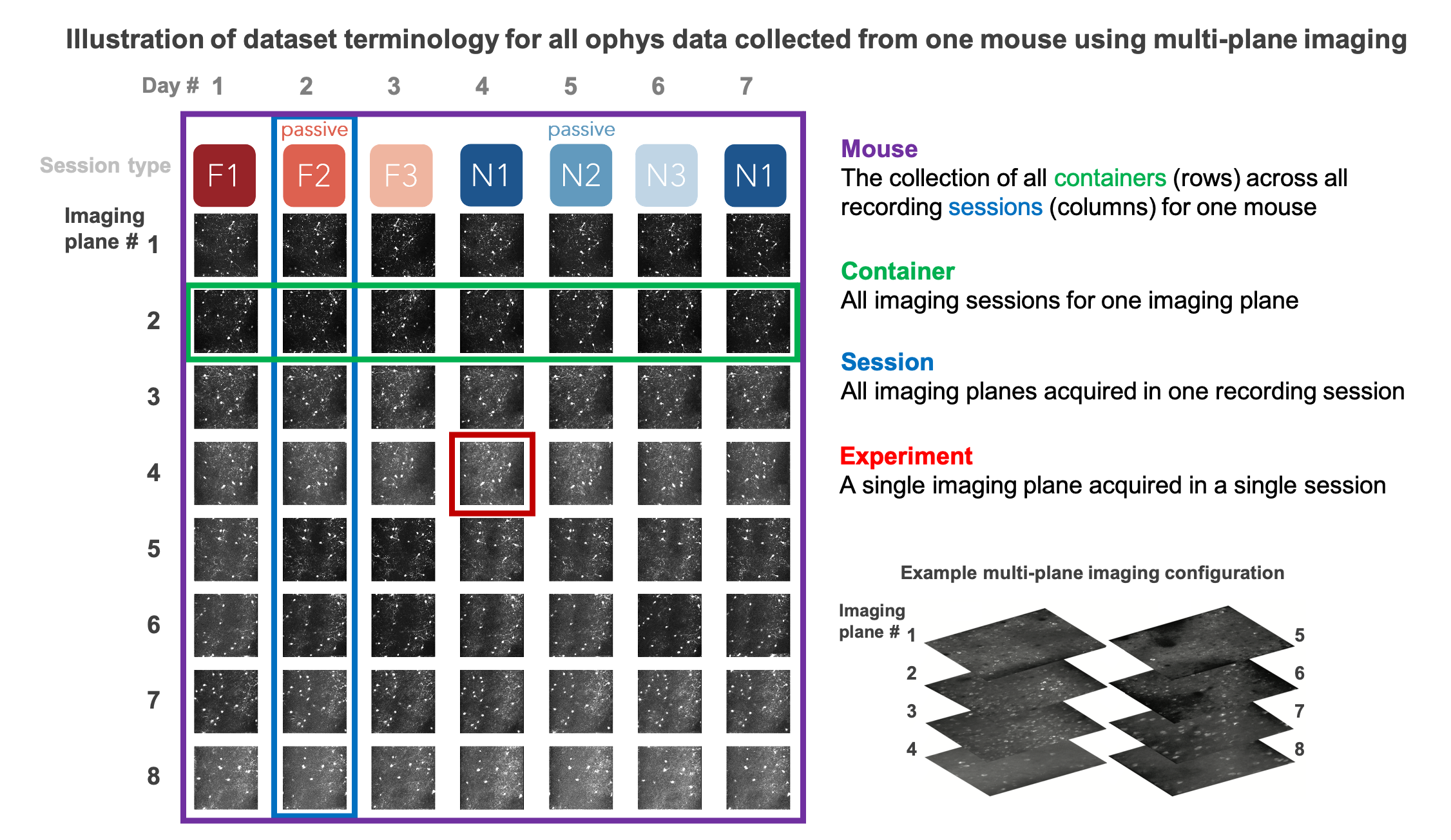 data_structure