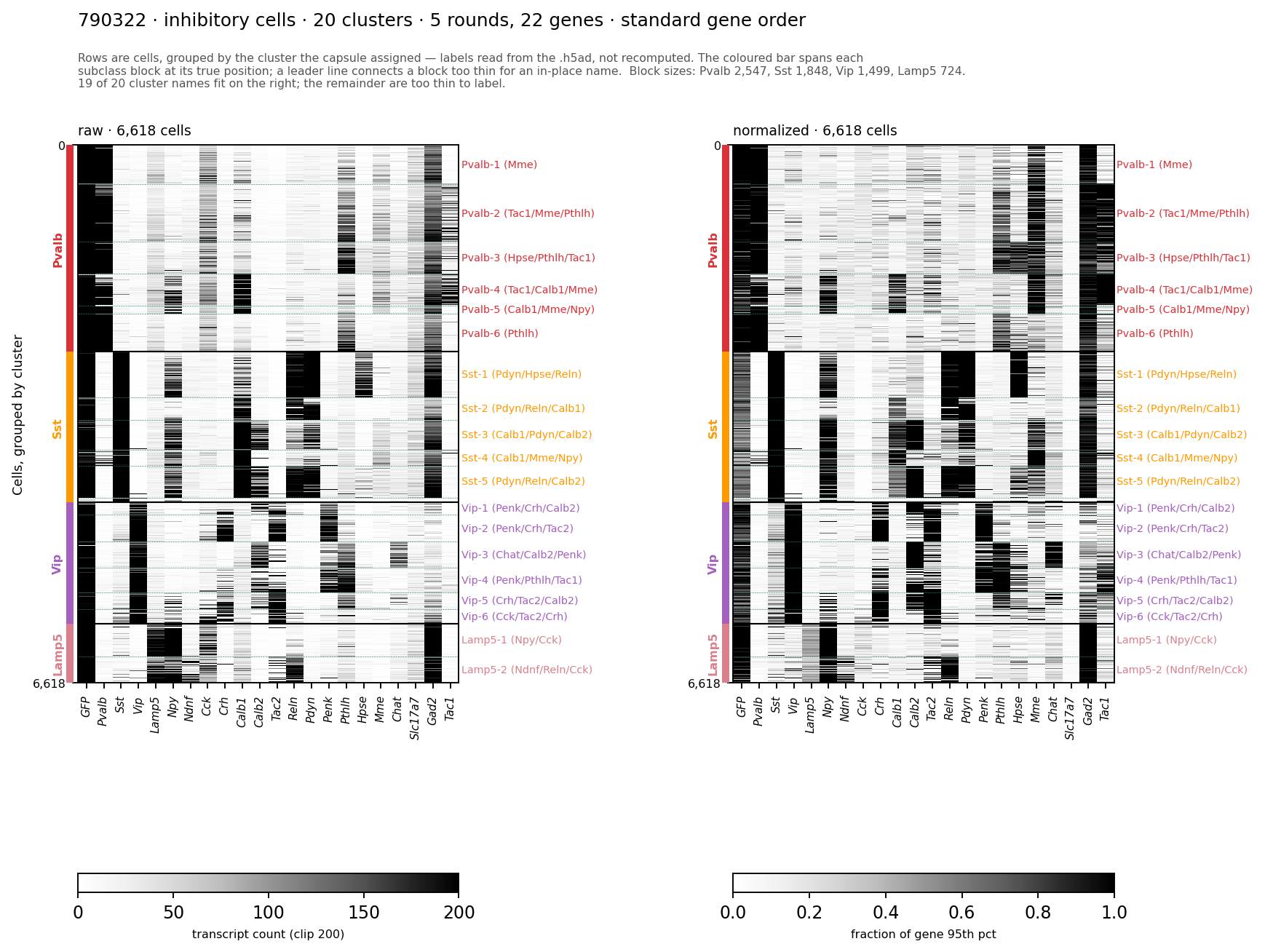 ../../_images/vl-cellxgene-790322.png