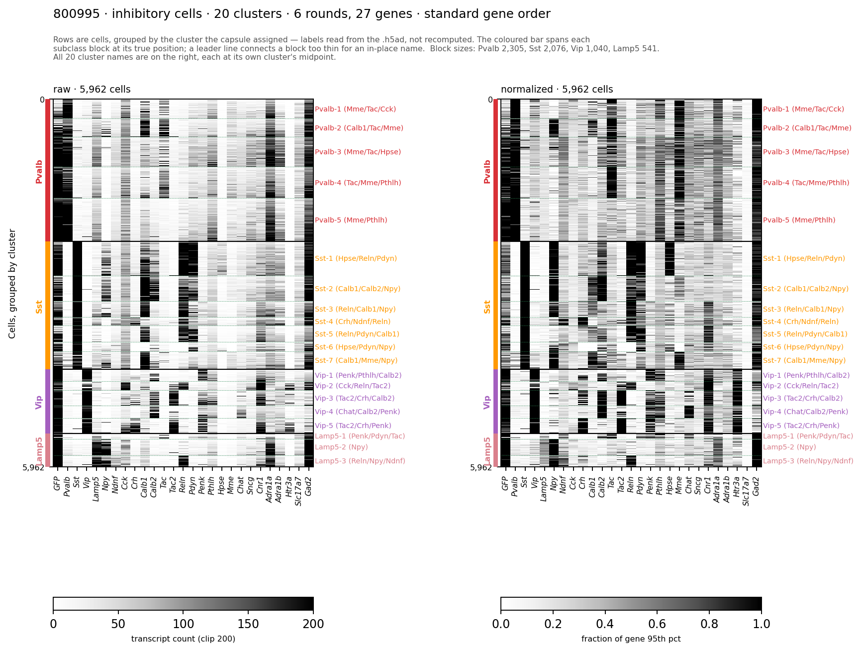 ../../_images/vl-cellxgene-800995.png