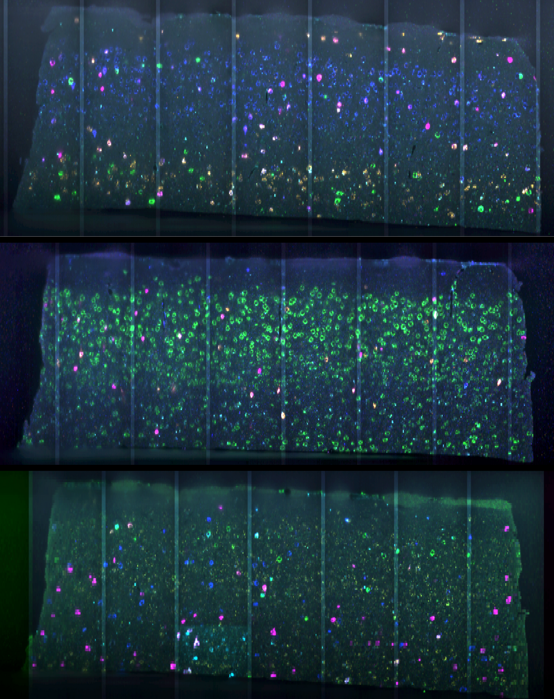 ../../_images/vl-hcr-rounds.png