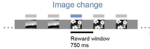 ../../../_images/vl-image-change.png