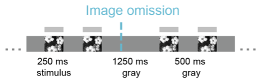 ../../../_images/vl-image-omission.png