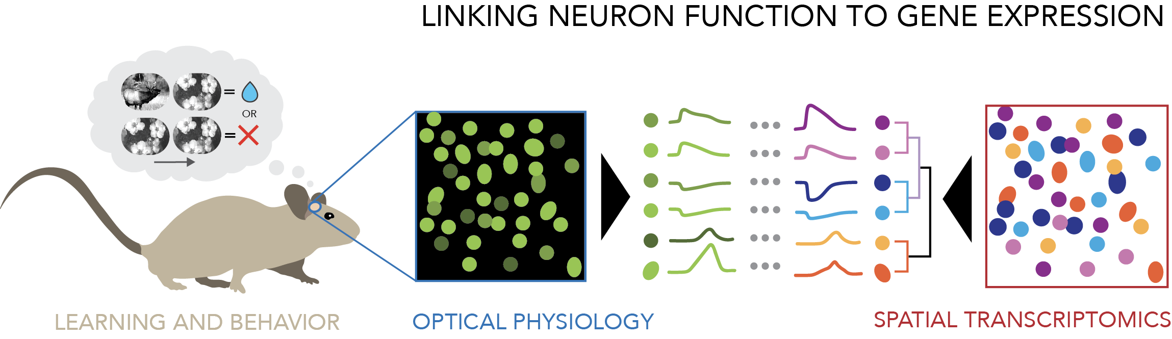 ../../../_images/vl-overview-schematic.png